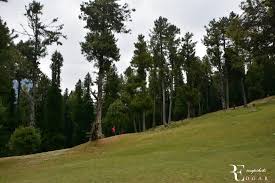 Hotel Meadows ( Boarding & Lodging)12